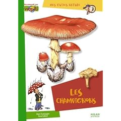Les champignons