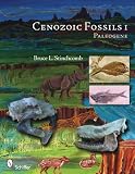 Cenozoic Fossils 1:  Paleogene