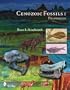 Cenozoic Fossils 1:  Paleogene