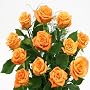 1 Doz Orange Roses 2040