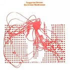 Electronic Meditation by Tangerine Dream