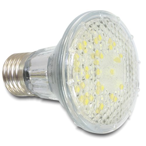 Delock 46235 LED E27 Leuchtmittel