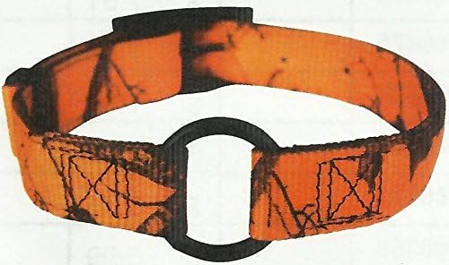 Mossy Oak Blaze 1" Ring in Center 27" Dog Collar
