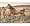 Horses - Wallpaper Border