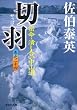 切羽　―密命・潰し合い中山道〈巻之二十四〉 (祥伝社文庫)