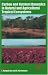 Book Carbon and Nutrient Dynamics in Natural and Agricultural Tropical Ecosystems (Cabi Publishing)
