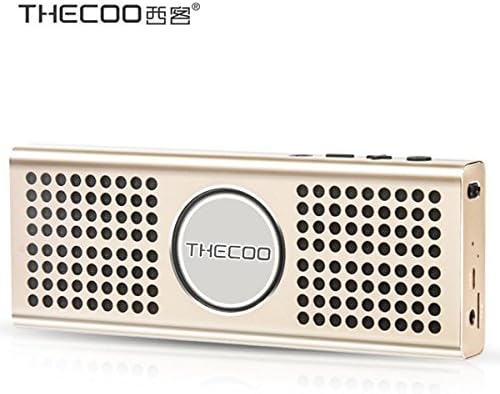 THECOO Stereo Portable Bluetooth Speaker,Magnalium Alloy Body with Built-in Mic for Handsfree Call,Dual Exposed Passive Radiators for Enhanced Bass,Support TF Card &amp; 3.5mm AUX Play