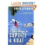 Three Ways to Capsize a Boat: An Optimist Afloat