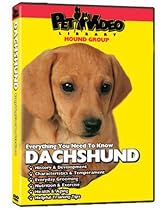 Dachshund DVD + Dog & Puppy Training Bonus