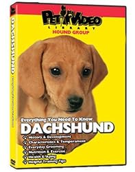 Dachshund DVD + Dog & Puppy Training Bonus