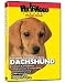 Dachshund DVD + Dog & Puppy Training Bonus