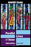 Parallel Lives of Jesus: A narrative-critical guide to the four gospels