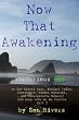 Now That Awakening (awakurious one) or how Miguel Ruiz, Eckhart Tolle, Adyashanti, Ramana Maharshi, and Nisargadatta Maharaj did away with me on Twitter; Part 1 (Son Light Tweets)