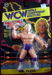 WCW Rick Flair Wrestling Action Figure Series 1