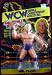 WCW Rick Flair Wrestling Action Figure Series 1_s-1