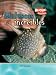 Search : Moluscos increibles / Incredible Mollusks (Criaturas Increibles / Incredible Creatures) (Spanish Edition)
