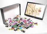 Photo Jigsaw Puzzle of Frankincense resin from Science Photo Library