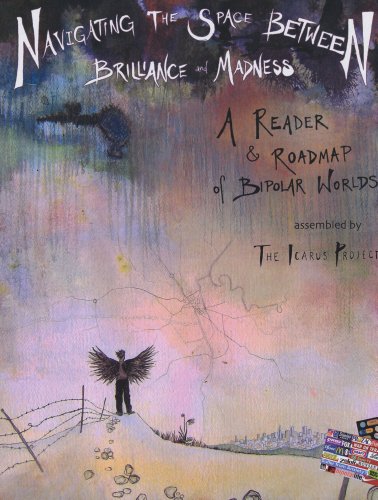 navigating the space between brilliance and madness a reader and roadmap of bipolar worlds