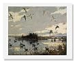 Frank Weston Benson, Pintails Decoyed