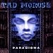 Paradigma-Paradigma