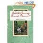 A Child's Journey Through Placement