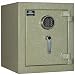 Mesa Safe Company Model MBF1512E Burglary and Fire Safe with Electronic Lock, Sandstone