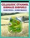 21st Century Cellulosic Ethanol, Biomass, and Biofuels - Wood Chips, Stalks, Switchgrass, Plant Products, Feedstocks, Cellulose Conversion Processes, Research Plans