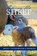 Among the Sheep