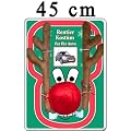 Rentier Kost�m Auto Rudolf Rentierkost�m Reindeer Car Red PKW Autokost�m