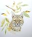 BOBCAT (Lynx Rufus) with BLACK HICKORY (Carya Texana): Signed and Numbered Limited Ed...