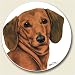 Kitchen & Housewares : DACHSHUND DOG Auto Coaster, Single Coaster