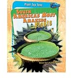South America's most amazing plants