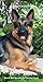 German Shepherds 2016 Two-Year Pocket Planner