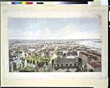New Orleans from St. Patrick's Church 1852 (Reprint measured in inches 24 x 19)