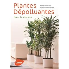 Plantes d�polluantes pour la maison