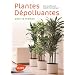 Plantes d�polluantes pour la maison