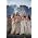 Miniaturansicht von Celtic Woman