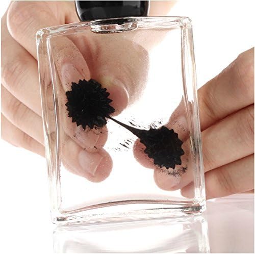 Magnetic Liquid Display Ferrofluid in a Bottle - Amazing Liquid That Reacts to Magnet! by JTK