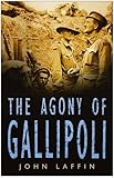 The agony of Gallipoli