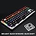 LINGBAO JIGUANSHI Mechanical Keyboard 87 Keys Computer Wired USB Backlit Metal Panels Gaming Keyboard (Mixed Light, Silver Bezel, Black Cap, Black Switches)