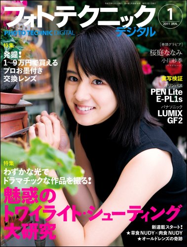フォトテクニックデジタル 2011年 01月号 [雑誌]