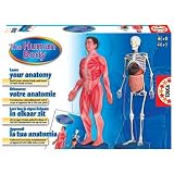 The Human Body - Learn Your Anatomy