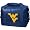 West Virginia Mountaineers