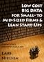Low Cost BIG DATA For Small- to Mid-Sized Firms and Lean Start-Ups (New Street Executive Summaries)