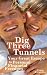 Dig Three Tunnels: Your Great Escape to Personal Financial Freedom