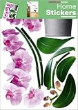Produkt-Bild: 1art1 39978 Blumen - Orchidee In Pink Wand-Tatoos Aufkleber Poster-Sticker (70 x 50 cm)