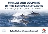 Whales and dolphins of the European Atlantic : the Bay of Biscay, English Channel, Celtic Sea and coastal SW Ireland