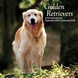 Golden Retrievers 2009 Wall Calendar