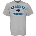 Carolina Panthers Ash Heart and Soul T-shirt