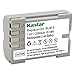 Kastar Lithium-Ion Battery BLM-5 Replacement for Olympus E-5, Olympus E1, Olympus E3, Olympus E30 Camera